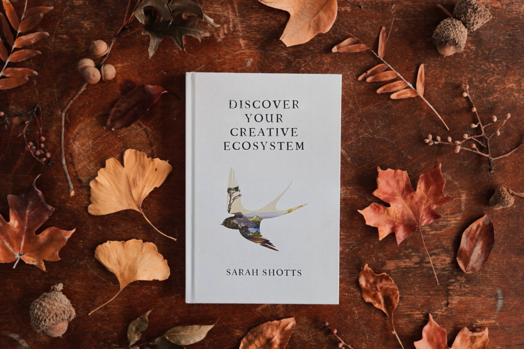 Photo of Discover Your Creative Ecosystem book by Sarah Shotts. A silhouette of bird in flight shows a landscape beyond. Lays on a table surrounded by autumnal leaves.
