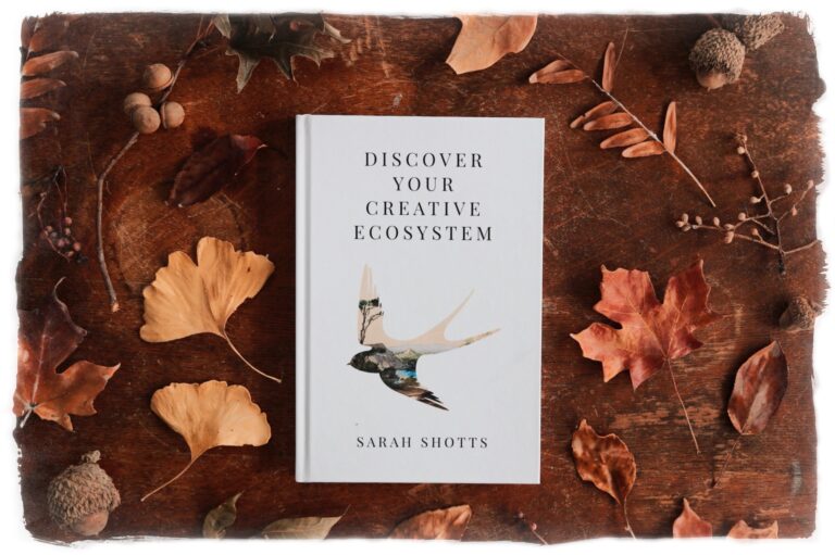Photo of Discover Your Creative Ecosystem book by Sarah Shotts. A silhouette of bird in flight shows a landscape beyond. Lays on a table surrounded by autumnal leaves.