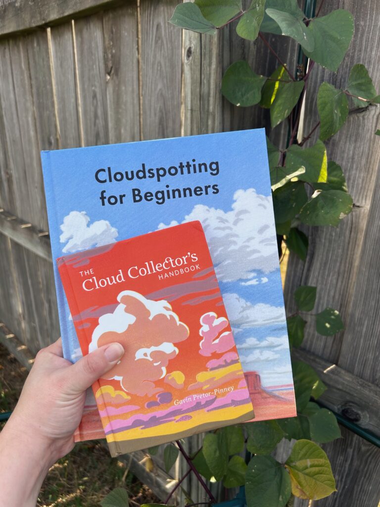 Cloudspotting books