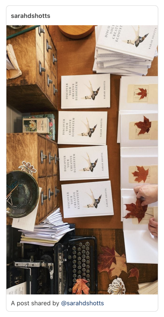 My first book signing. Discover Your Creative Ecosystem books open on desk with red maple leaves tucked into library pockets.