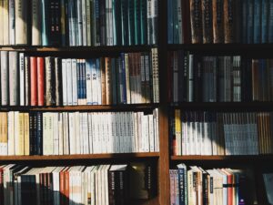 Shaft of sunlight across a bookshelf filled with books