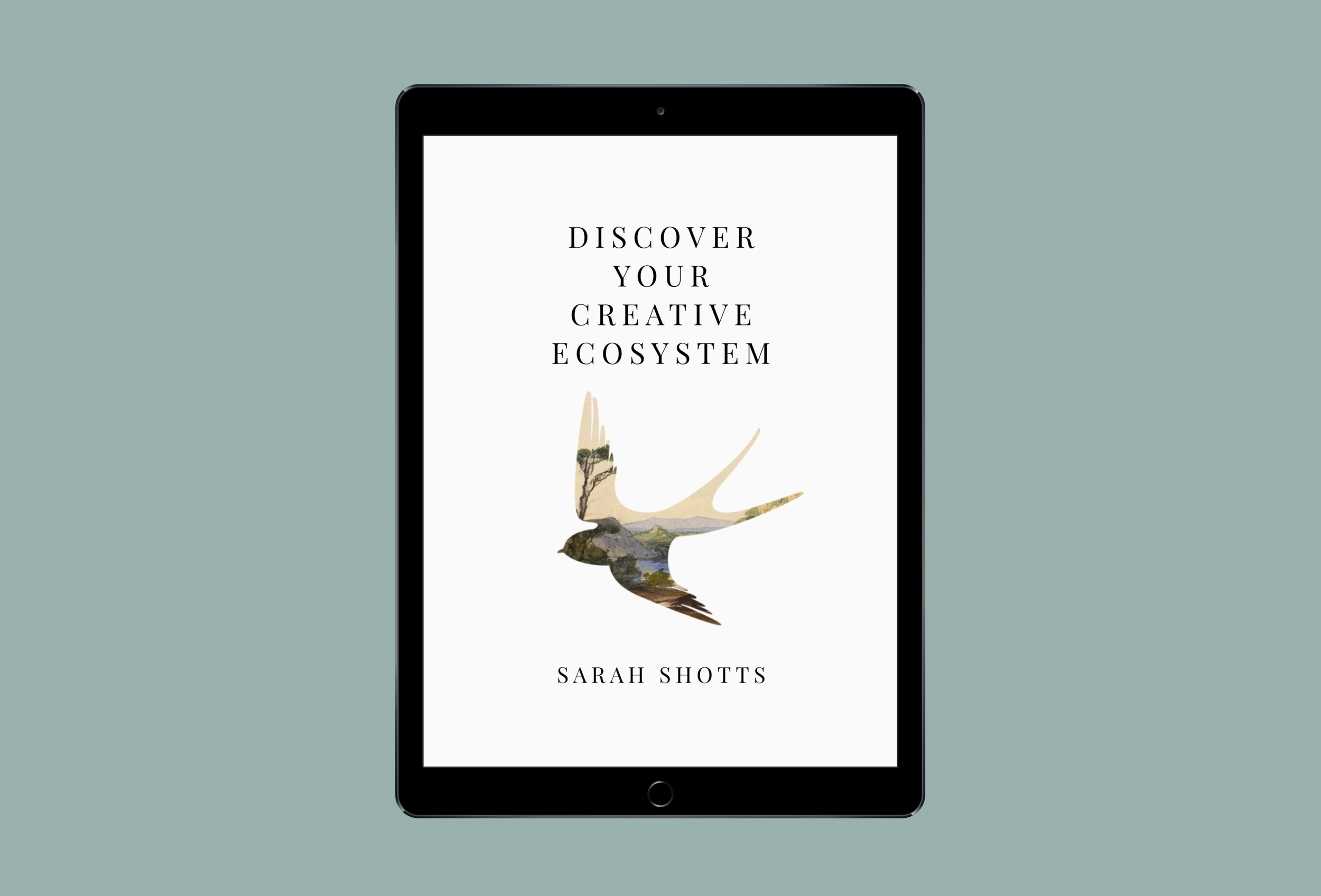 Self Pub 101 (Ebooks)
