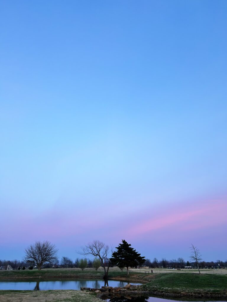 Pink and blue stripes across a blue sky. Trees and a pond beneath.