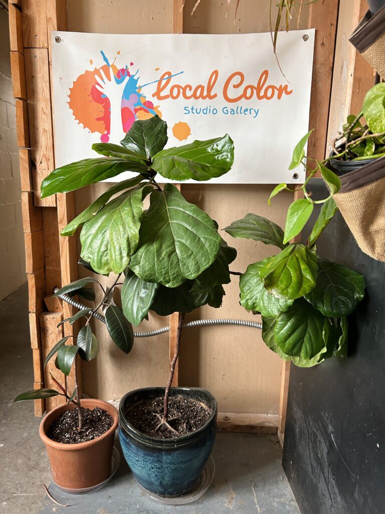 Local Color Studio sign with a colorful paint spattered logo and a hang in negative space. A variety of potted plants are beneath.