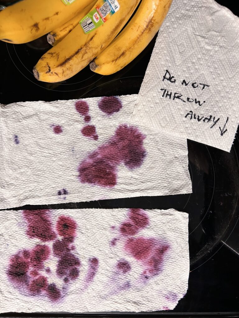 Papertowels with blueberry stains on a glass oven cooktop beside a bunch of bananas and a papertowel with a note that says, "Do not throw away!"