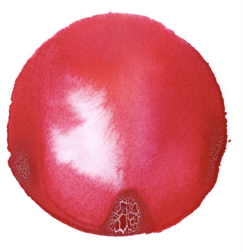 Bright red ink wash in a red circle with a small pink area near the center where red bleeds into white. There is also a cracked area where too much ink pooled in one place.