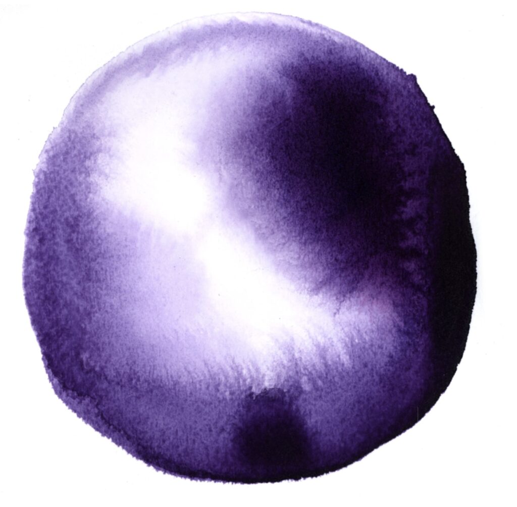 Deep purple ink wash in the shape of a circle bleeding to white in an irregular shape toward the center.