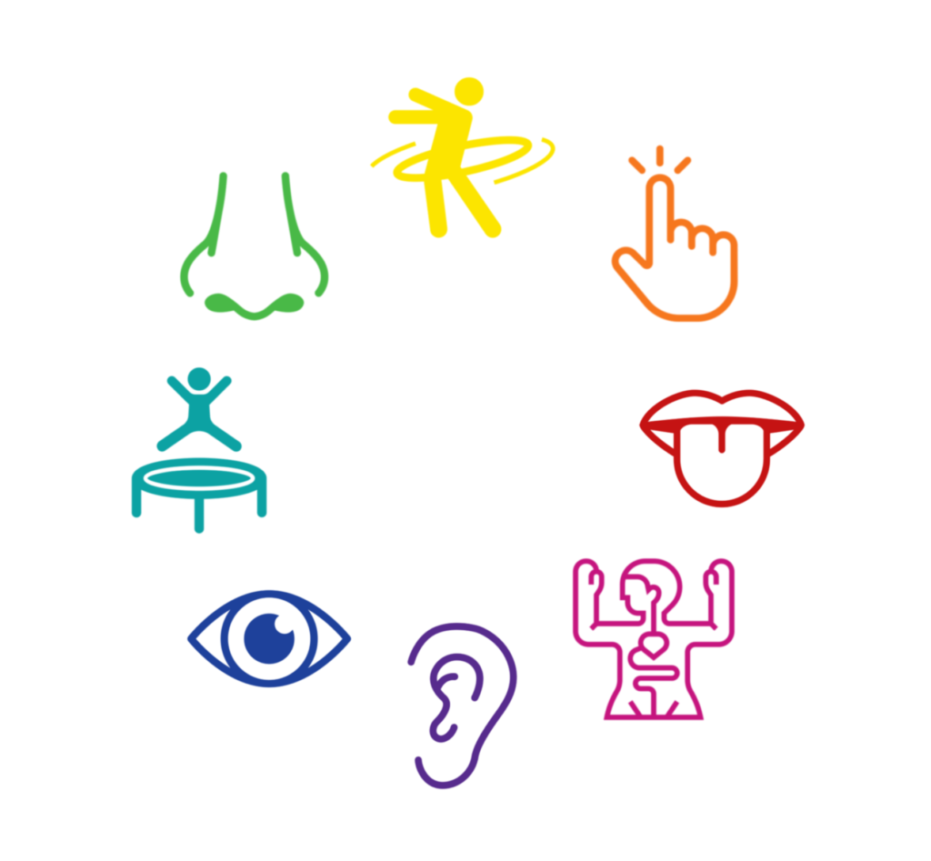 Logos for each sense. Finger for touch. Tongue for taste. Transparent body with heart for interoception. Ear for hearing. Eye for sight. Trampoline for vestibular. Nose for smell. Hula hoop for proprioception