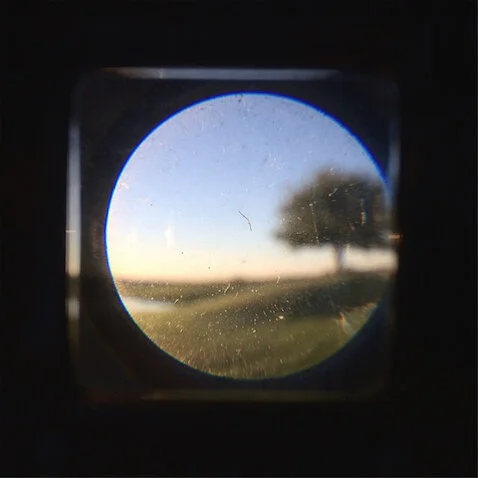 Medium format camera viewer looking at a tree on a hill