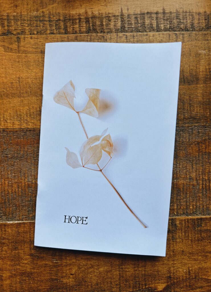 Half page zine with stamped letterpress title: Hope. A photograph of a delicate dried yellow leaf stem lays across the cover.
