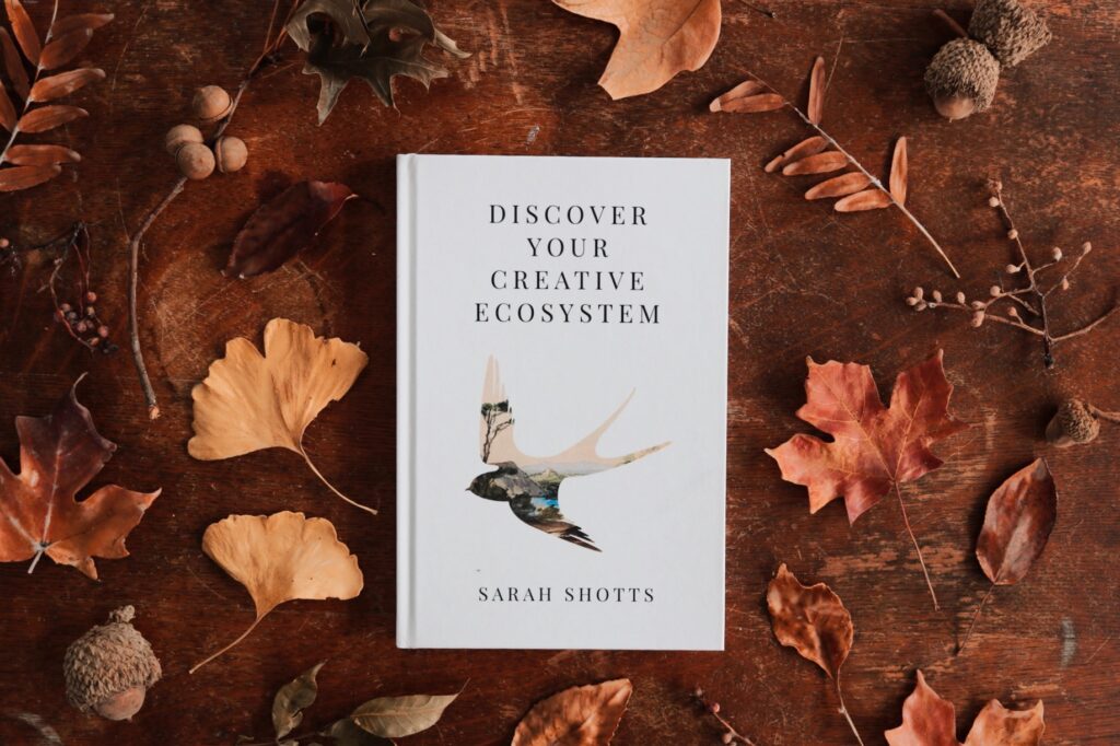 Photo of Discover Your Creative Ecosystem book by Sarah Shotts. A silhouette of bird in flight shows a landscape beyond. Lays on a table surrounded by autumnal leaves.