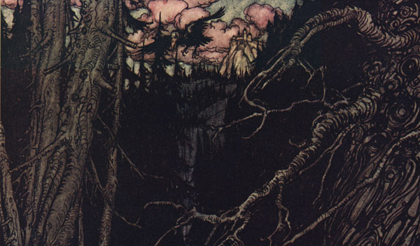 Illustration of a dark and shadowy forest with gnarled treetops and a warm reddish sky by Arthur Rackham. A crow is visible with cumulus clouds and a distant forest.