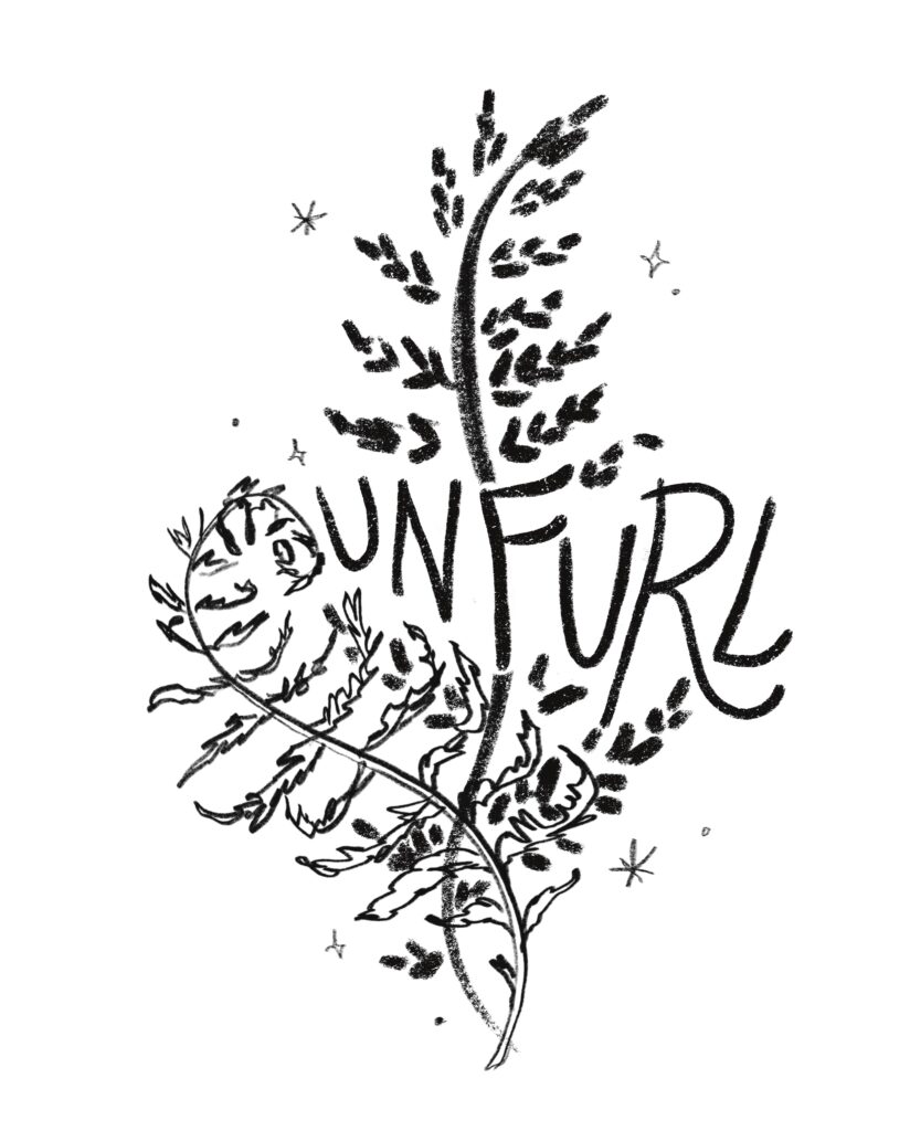 Unfurl banner with two hand drawn ferns unfurling.