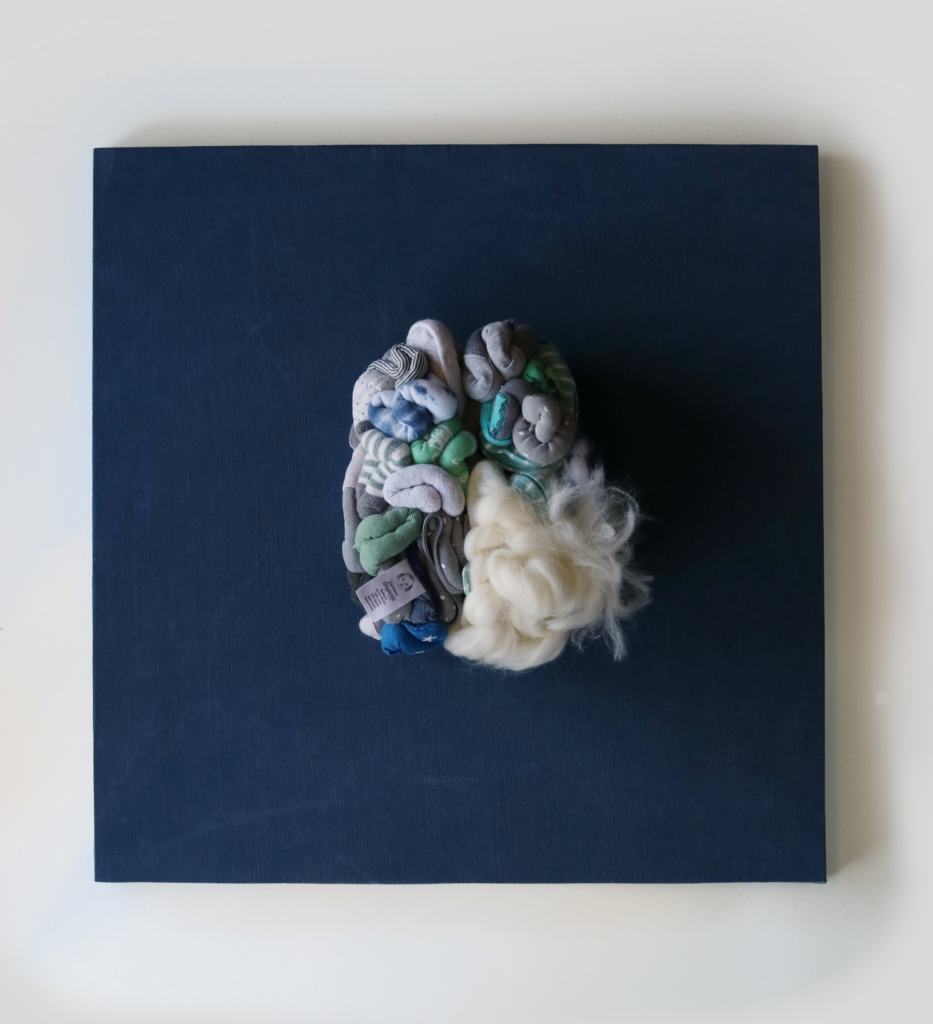 Soft sculpture of a brain made from baby socks, onesies and washclothes. The lower right hemisphere is made from tangled wool roving which is tufting outward. It is centered on a square panel covered in navy cloth.