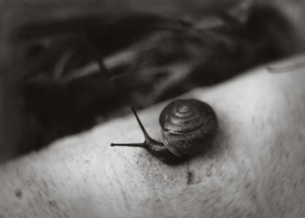 Small Progress is Progress 🐌